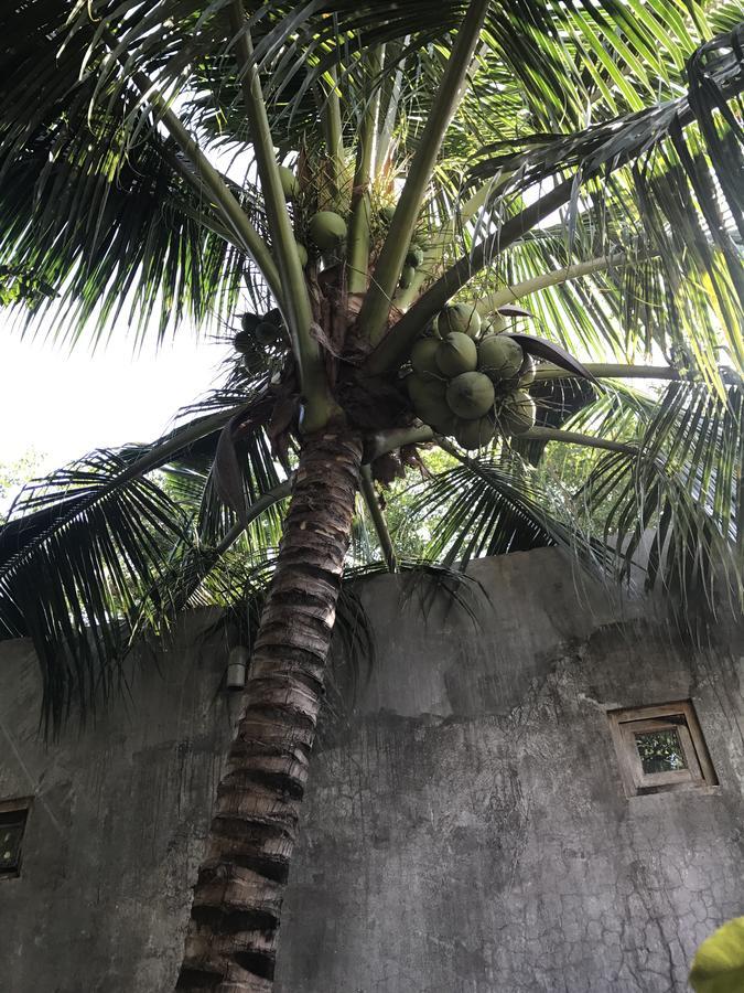 Anh Linh Guest House Mui Ne Exterior foto