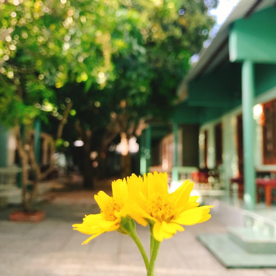 Anh Linh Guest House Mui Ne Exterior foto